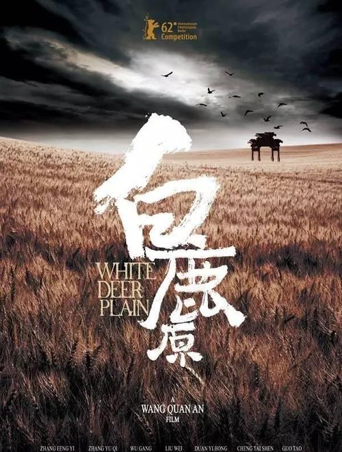 办理出生证明